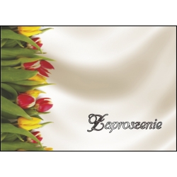 Zaproszenie ZU17